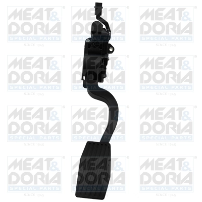 Accelerator Pedal Unit